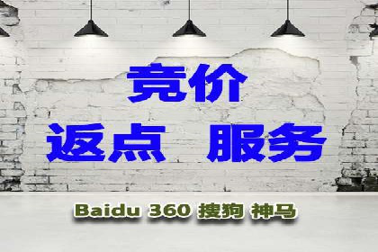百度SEO推广公司案例精选：揭秘优化策略